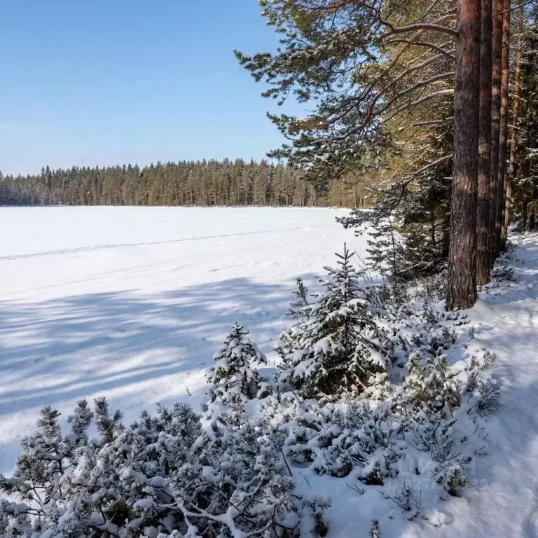 Участок в Московская область, Одинцовский городской округ, пос. ... - Фото 2