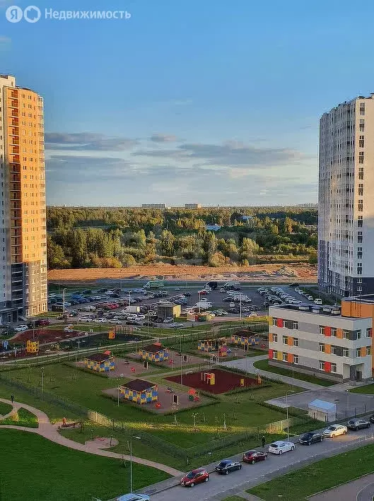 1-комнатная квартира: Санкт-Петербург, Муринская дорога (29.8 м) - Фото 1