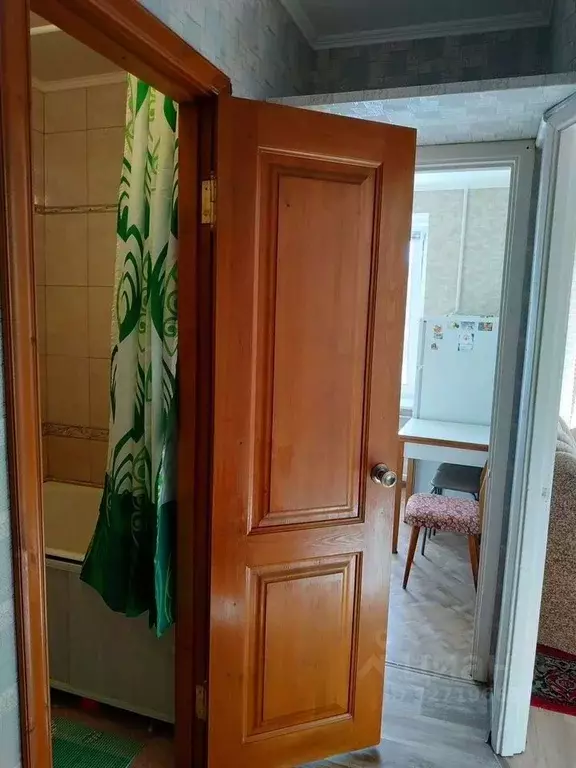 1-к кв. Санкт-Петербург, Санкт-Петербург, Пушкин бул. Алексея ... - Фото 2