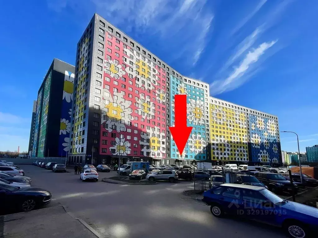 Помещение свободного назначения в Ленинградская область, Мурино ... - Фото 1