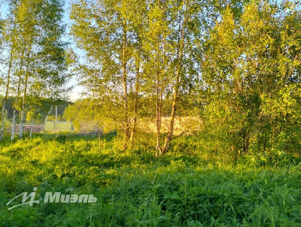 Продается участок в д. Гончары - Фото 1