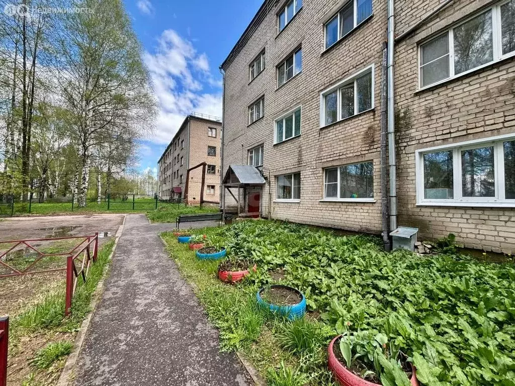 1-комнатная квартира: Шарья, улица Ивана Шатрова, 10 (33.4 м) - Фото 1