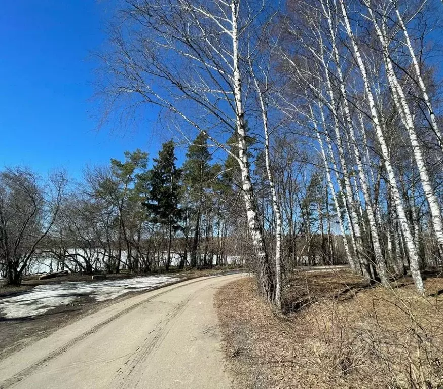 Участок в Московская область, Раменский городской округ, д. Васильево  ... - Фото 1