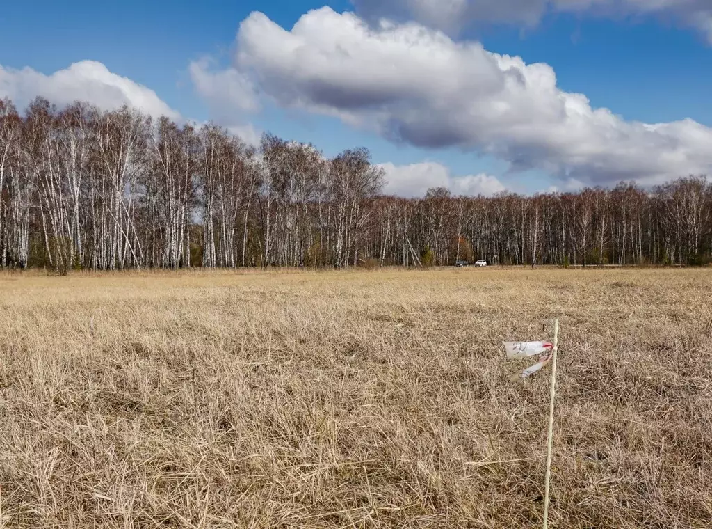 Участок в Московская область, Коломна городской округ, д. Липитино  ... - Фото 0
