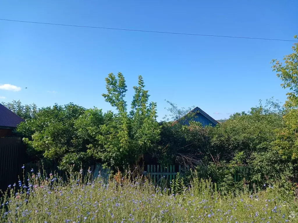 Участок в Саратовская область, Хвалынск Горная ул., 15 (8.4 сот.) - Фото 1