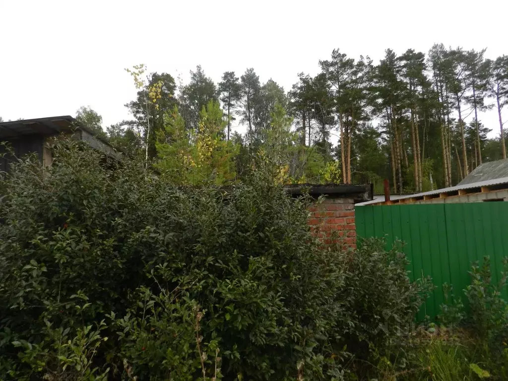 Помещение свободного назначения в Марий Эл, Йошкар-Ола городской ... - Фото 1