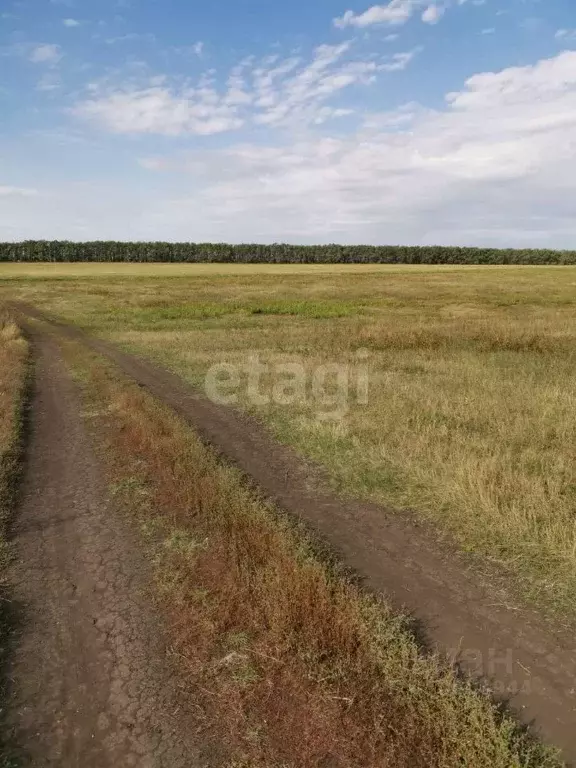 Участок в Башкортостан, Нуримановский район, Красногорский сельсовет, ... - Фото 1