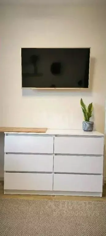 Студия Удмуртия, Ижевск Нижняя ул., 2 (24.6 м) - Фото 2