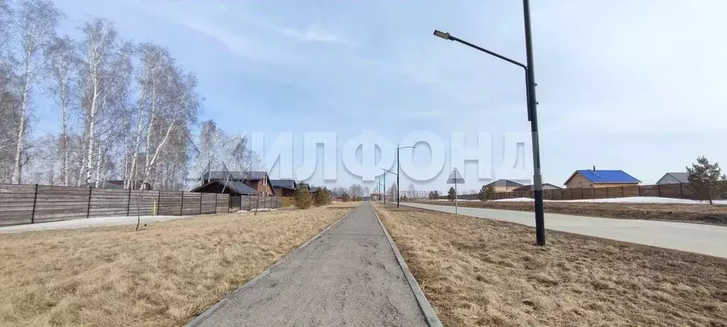 Участок в Новосибирская область, Новосибирский район, Сибирские ... - Фото 1