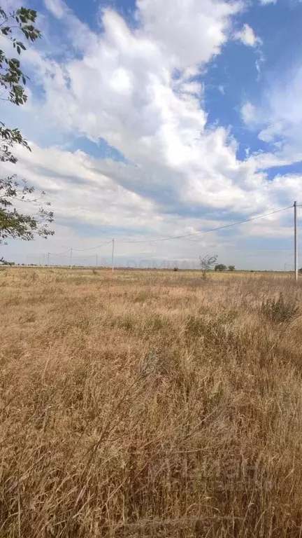 Участок в Ростовская область, Новочеркасск Ясная ул. (6.0 сот.) - Фото 1