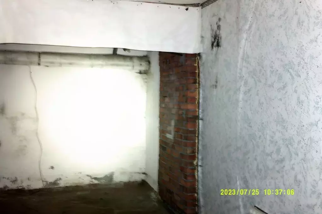 Помещение свободного назначения в Новосибирская область, Новосибирск ... - Фото 2