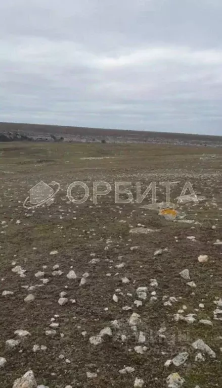 Участок в Крым, Черноморское пгт ул. Кирова (170.0 сот.) - Фото 0