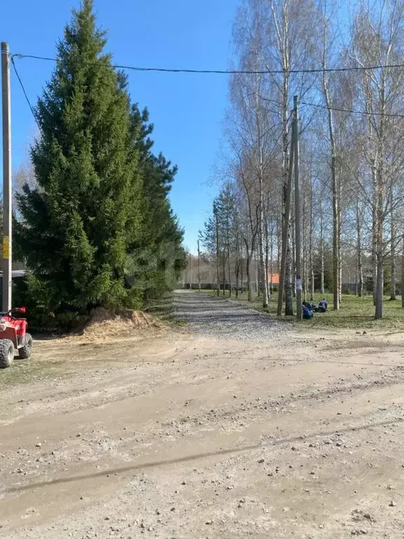 Участок в Вологодская область, Череповецкий район, Югское ... - Фото 1