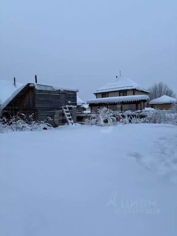 Дом в Архангельская область, Вычегодский рп ул. Димитрова, 26 (55 м) - Фото 1