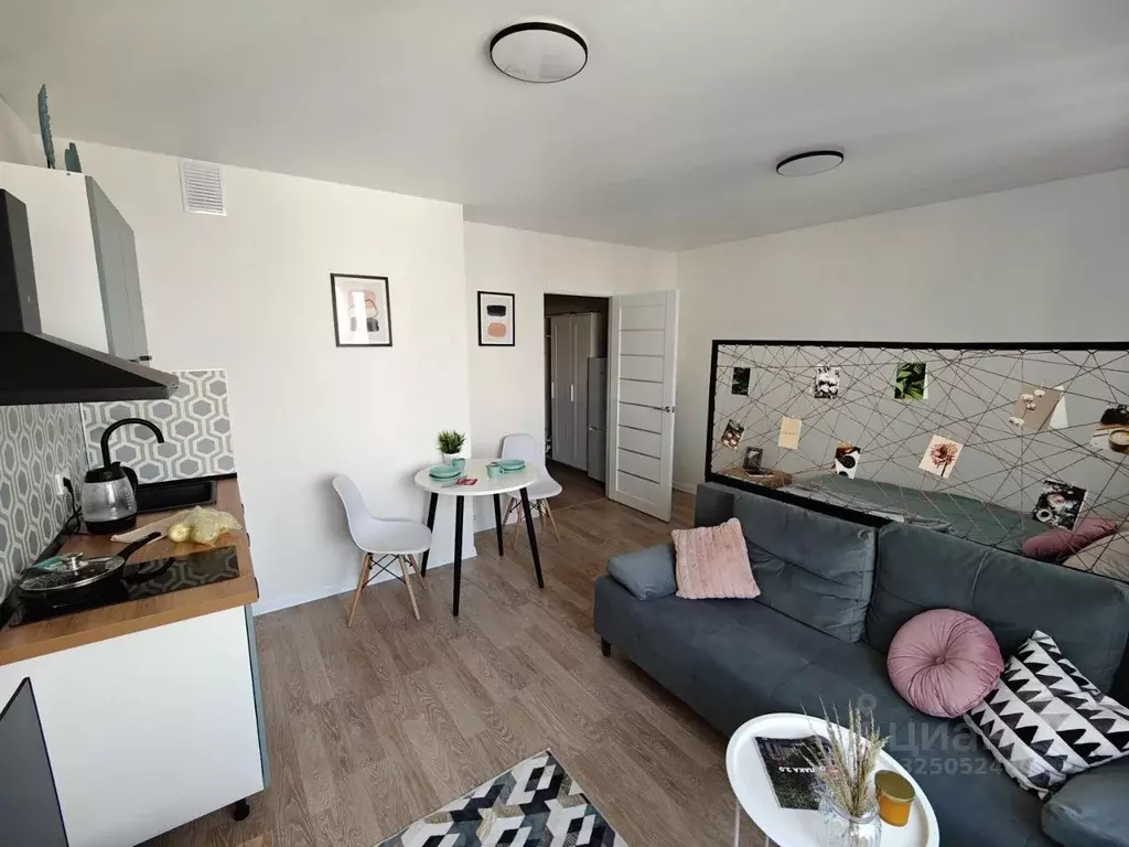 Студия Московская область, Люберцы ул. Солнечная, 6 (28.0 м) - Фото 2