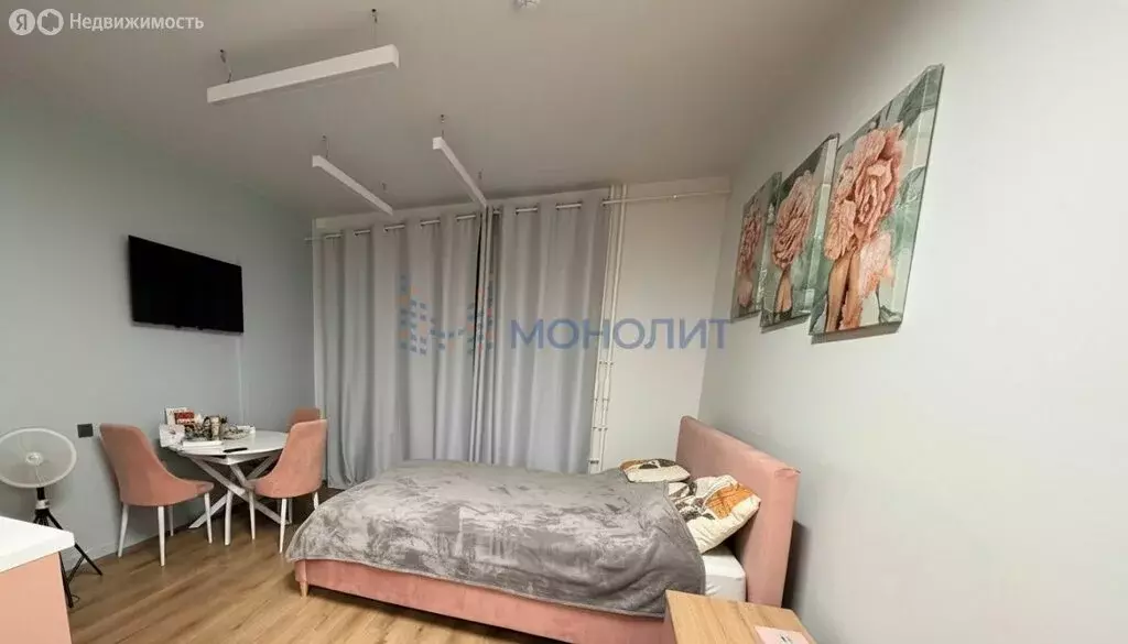 Квартира-студия: Нижний Новгород, Бурнаковская улица, 97 (20.9 м) - Фото 1