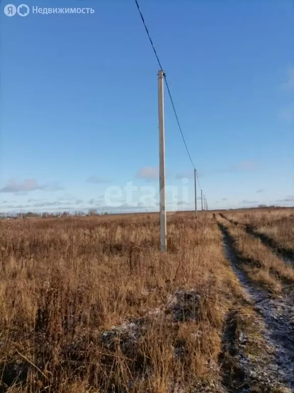 Участок в Ярославский муниципальный округ, деревня Большие Жарки (10 ... - Фото 1
