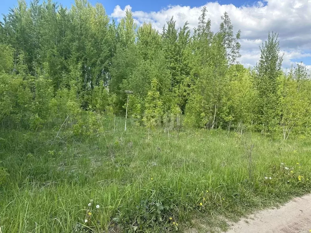 Участок в Владимирская область, Муром с. Дмитриевская Слобода, ул. ... - Фото 1