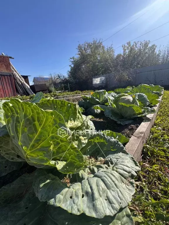 Участок в Челябинская область, Челябинск Станкостроитель-1 СНТ, ул. ... - Фото 1