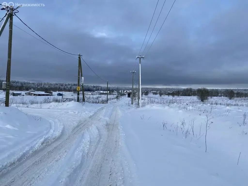 Участок в Лопухинское сельское поселение, деревня Заостровье, улица ... - Фото 0