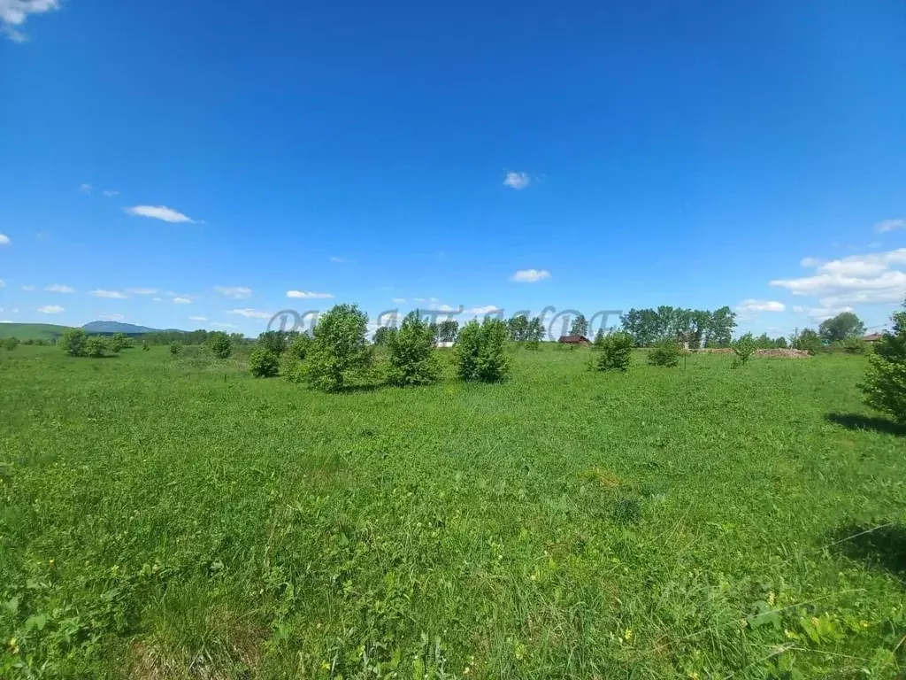 Участок в Алтай, Майминский район, с. Подгорное ул. Прибрежная, 48 ... - Фото 1
