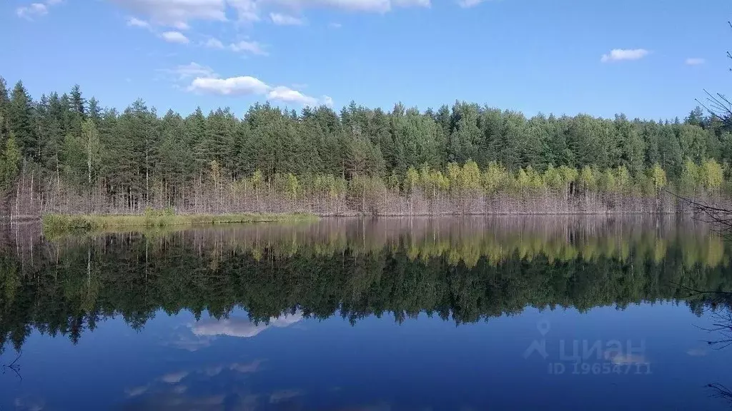 Участок в Новгородская область, Валдайский район, Ивантеевское с/пос, ... - Фото 1