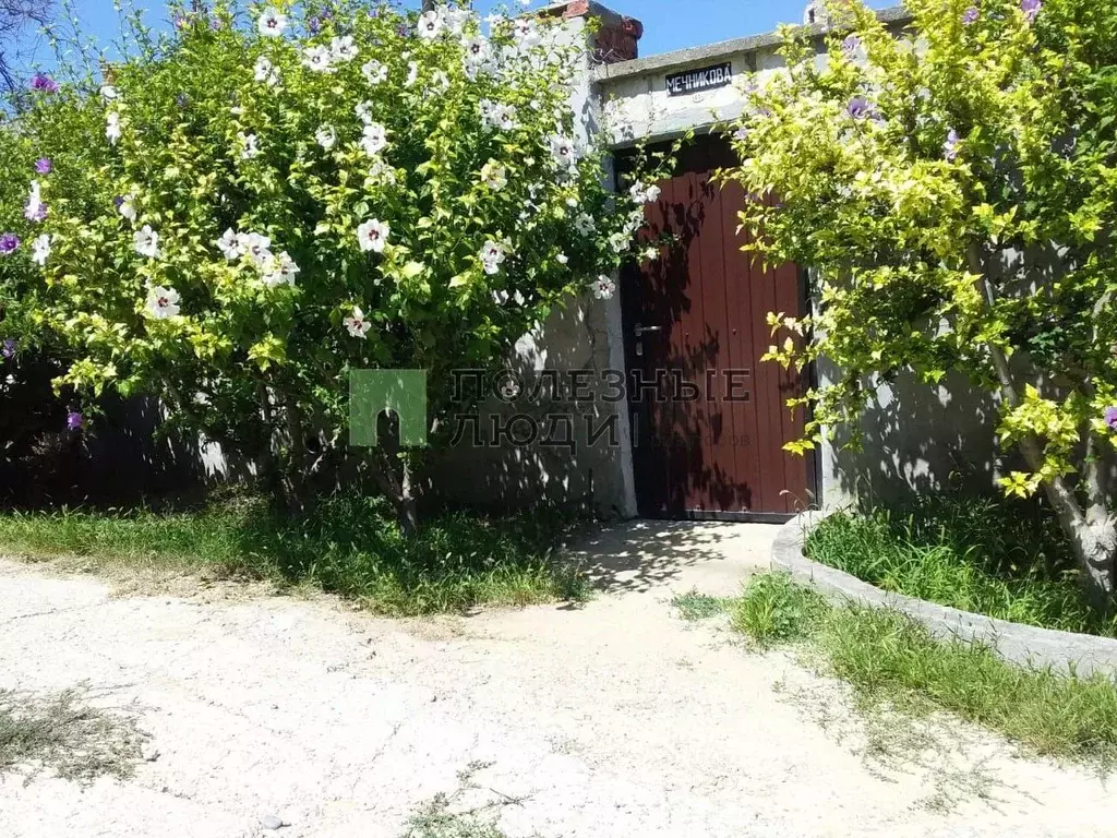 Дом в Севастополь ул. Мечникова, 47 (81 м) - Фото 0