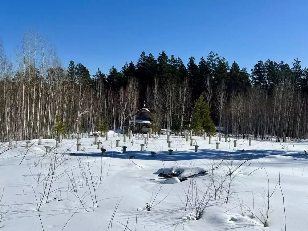 Участок в Иркутская область, Иркутский муниципальный округ, д. ... - Фото 2