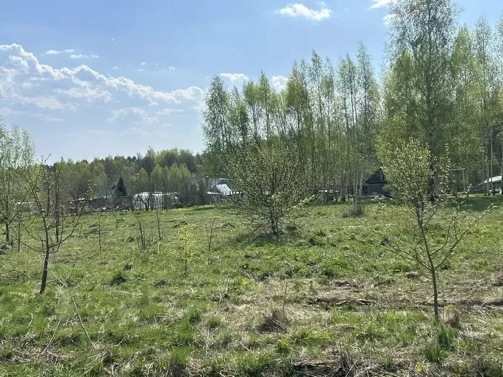 Участок в Московская область, Ступино городской округ, д. Лаптево  ... - Фото 1
