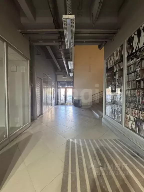 Торговая площадь в Татарстан, Казань просп. Ямашева, 93 (11 м) - Фото 2