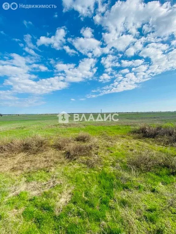 Участок в Балаковский район, Быково-Отрогское муниципальное ... - Фото 2