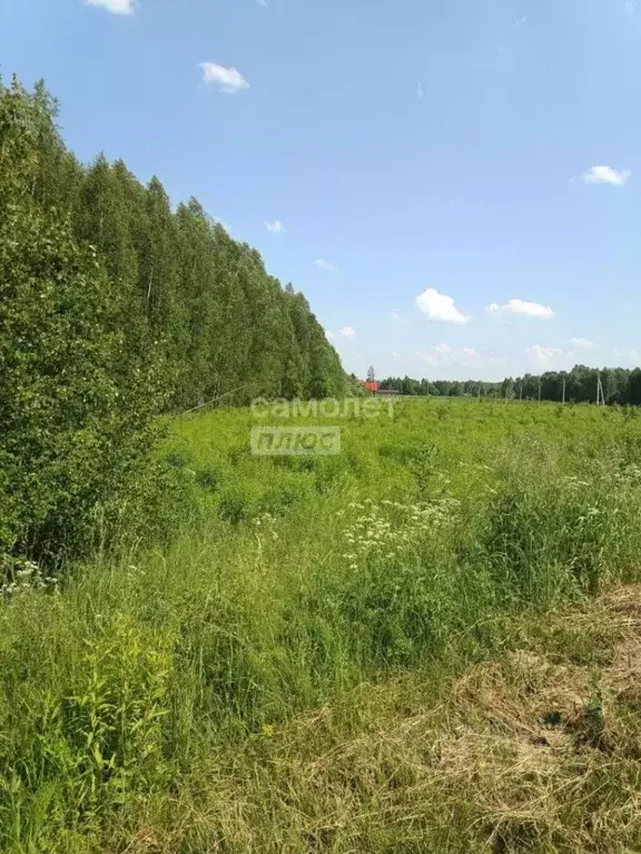 Участок в Нижегородская область, Бор муниципальный округ, д. ... - Фото 1