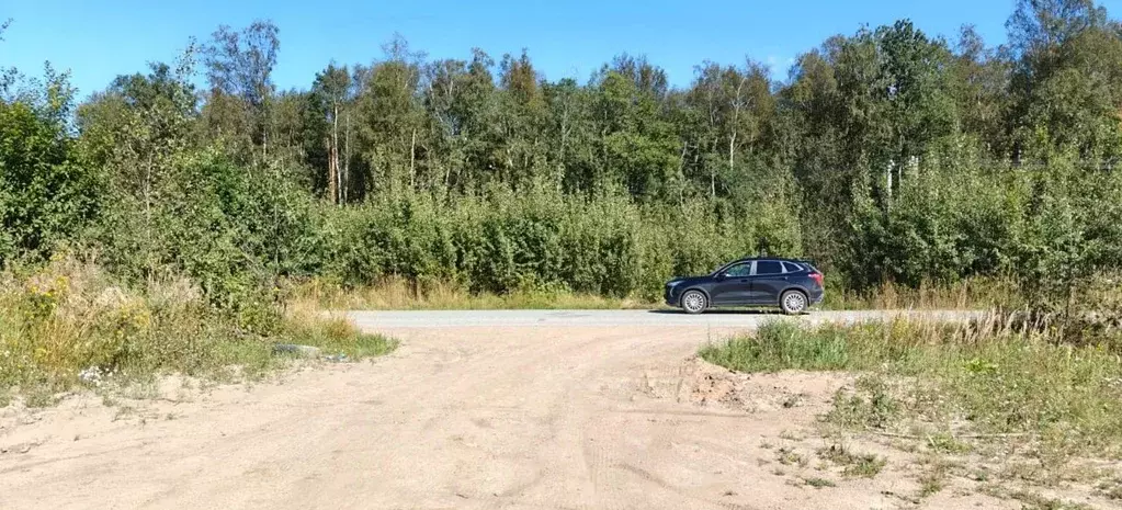 Участок в Ленинградская область, Ломоносовский район, Низинское с/пос, ... - Фото 2