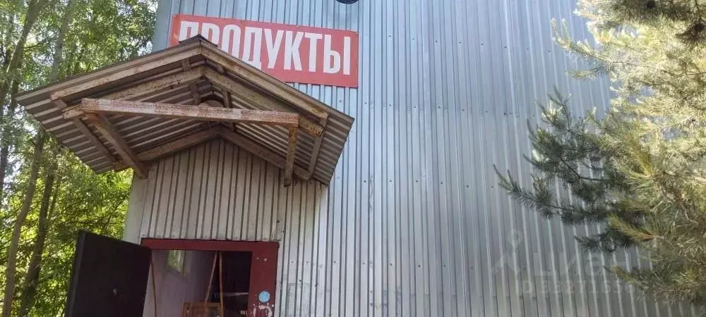 Торговая площадь в Московская область, Богородский городской округ, ... - Фото 2
