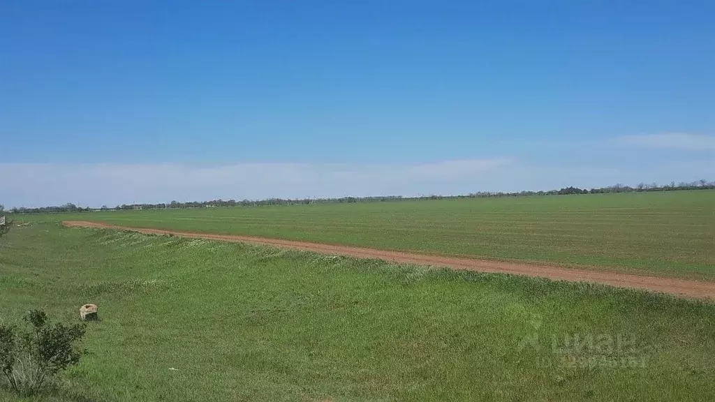 Участок в Крым, Сакский район, с. Кольцово ул. Новые Черемушки ... - Фото 2