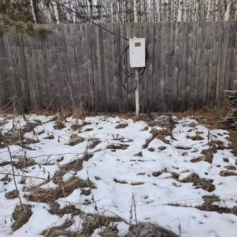 Участок в Курганская область, Кетовский муниципальный округ, КП Лесная ... - Фото 2