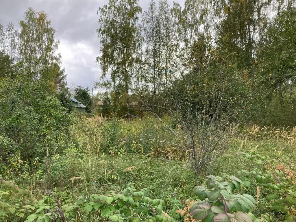 Участок в Московская область, Орехово-Зуевский городской округ, ... - Фото 1