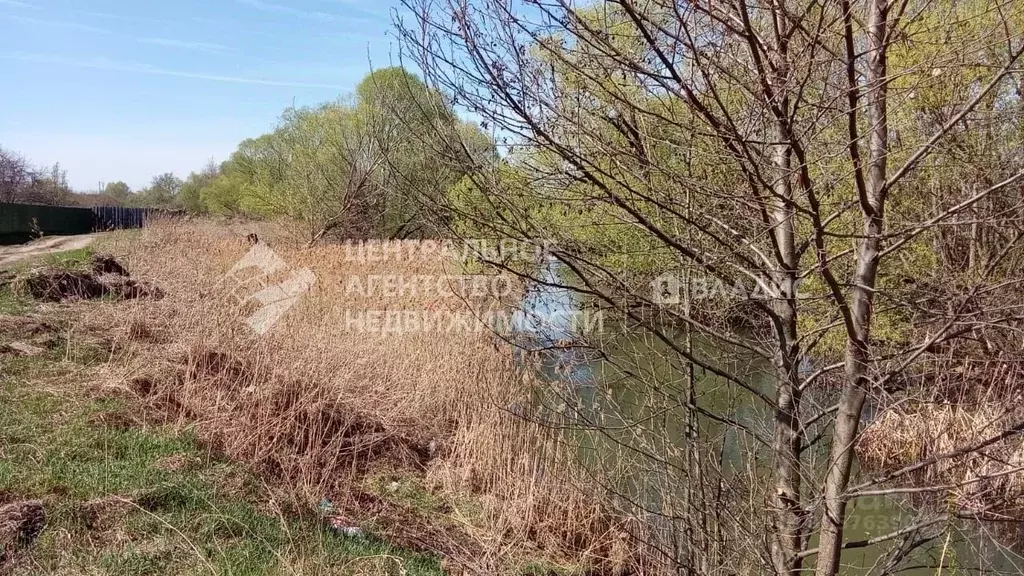 Участок в Рязанская область, Рязань Керамик-2 СТ, 121 (3.98 сот.) - Фото 1