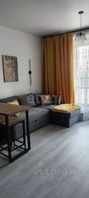 Студия Санкт-Петербург Уральская ул., 23 (24.3 м) - Фото 1