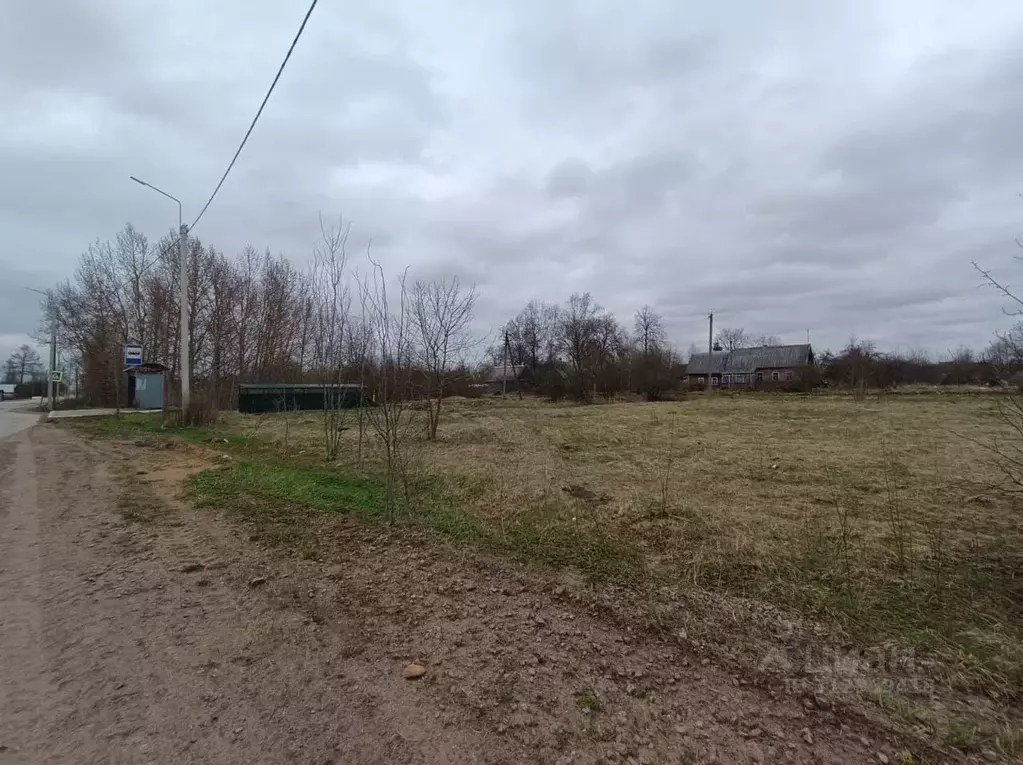 Участок в Ленинградская область, Волосовский район, Большеврудское ... - Фото 1