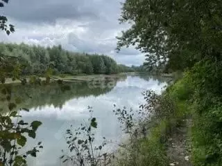 Участок в Новосибирская область, Колыванский район, Сибирская Волость ... - Фото 0