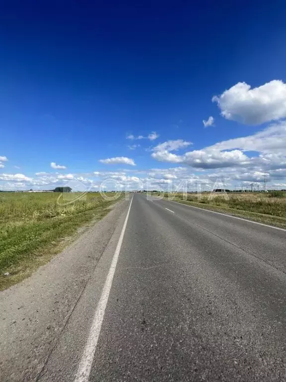 Участок в Тюменская область, Тюменский муниципальный округ, д. Большие ... - Фото 2