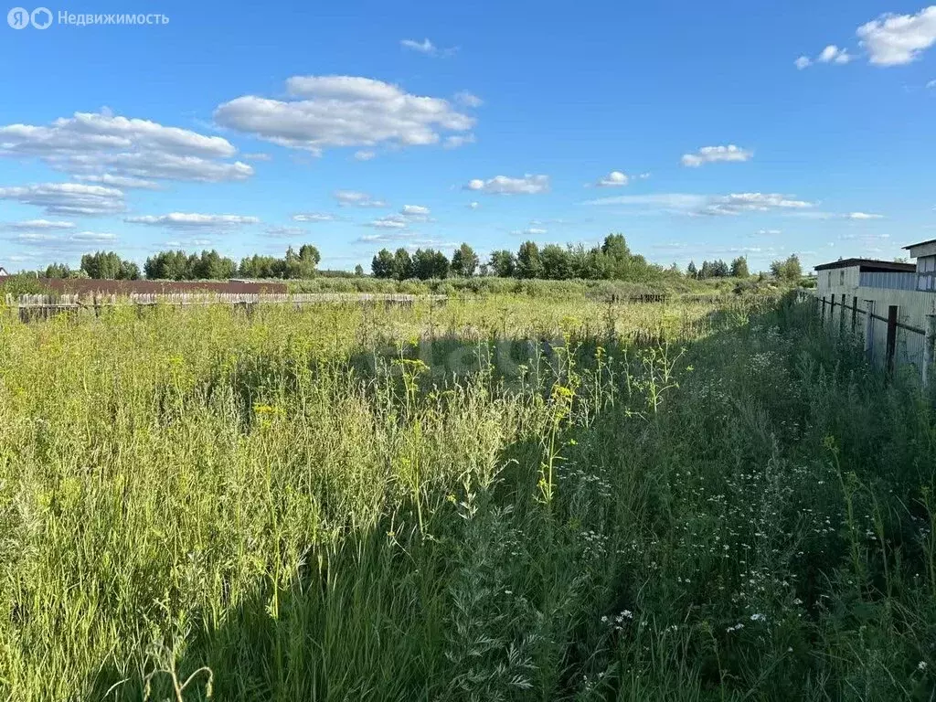 Участок в Курган, СНТ Золотой Подсолнух (10 м) - Фото 1