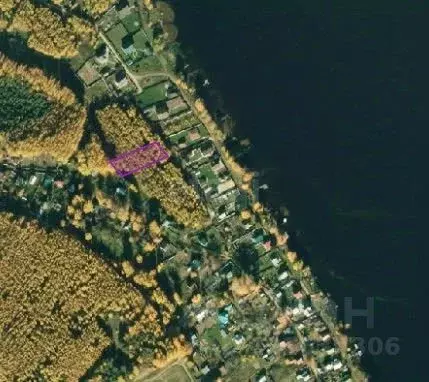 Участок в Костромская область, Красносельский район, Сидоровское ... - Фото 1