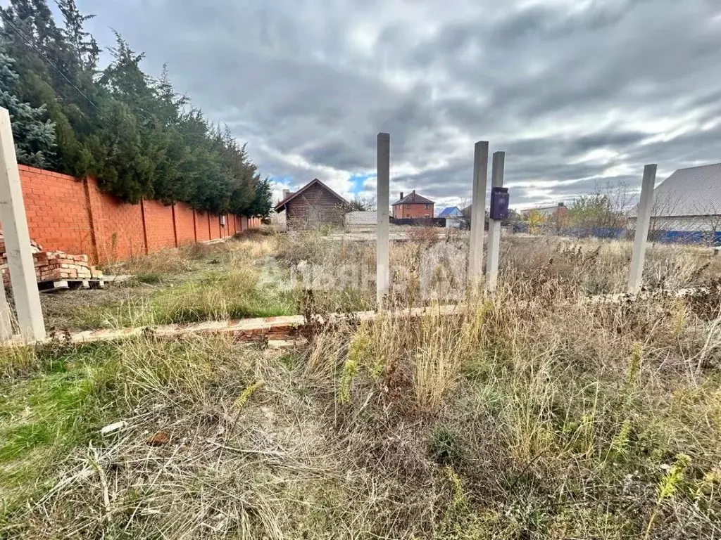 Участок в Ростовская область, Белокалитвинский район, Нижнепоповское ... - Фото 2