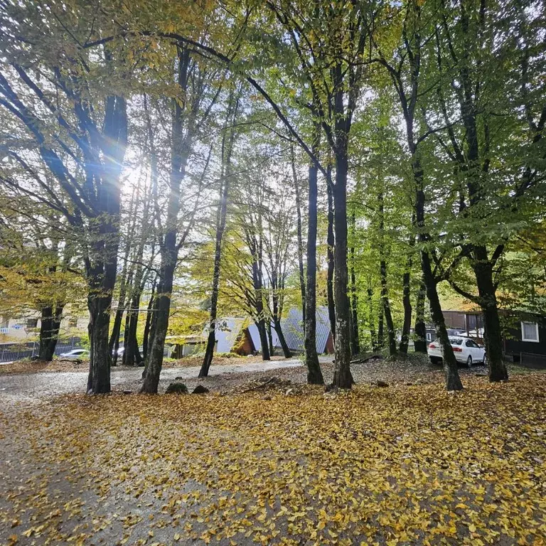 Дом в Краснодарский край, Сочи Красная Поляна пгт, ул. Защитников ... - Фото 2