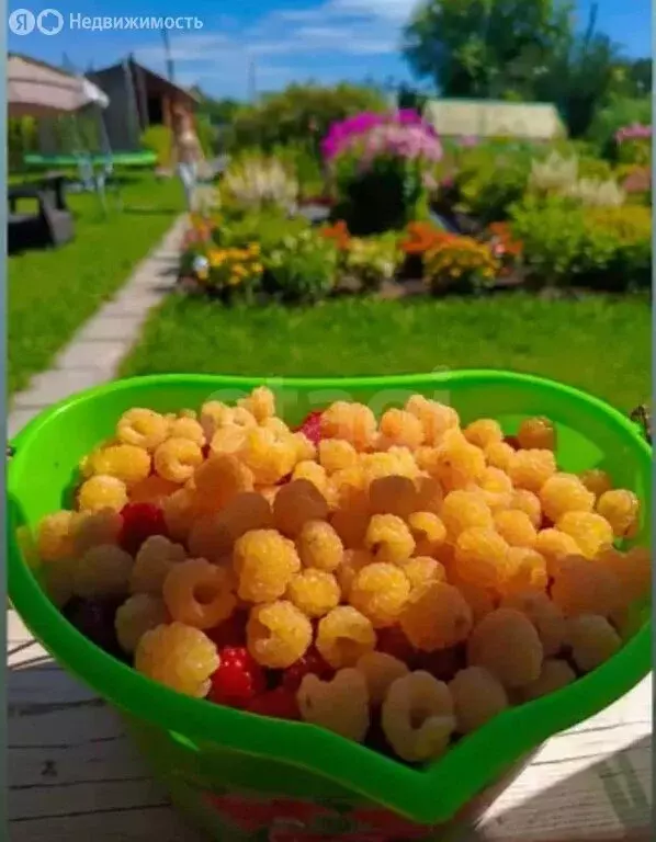 Дом в Тюменская область, Тобольский муниципальный округ, ... - Фото 2