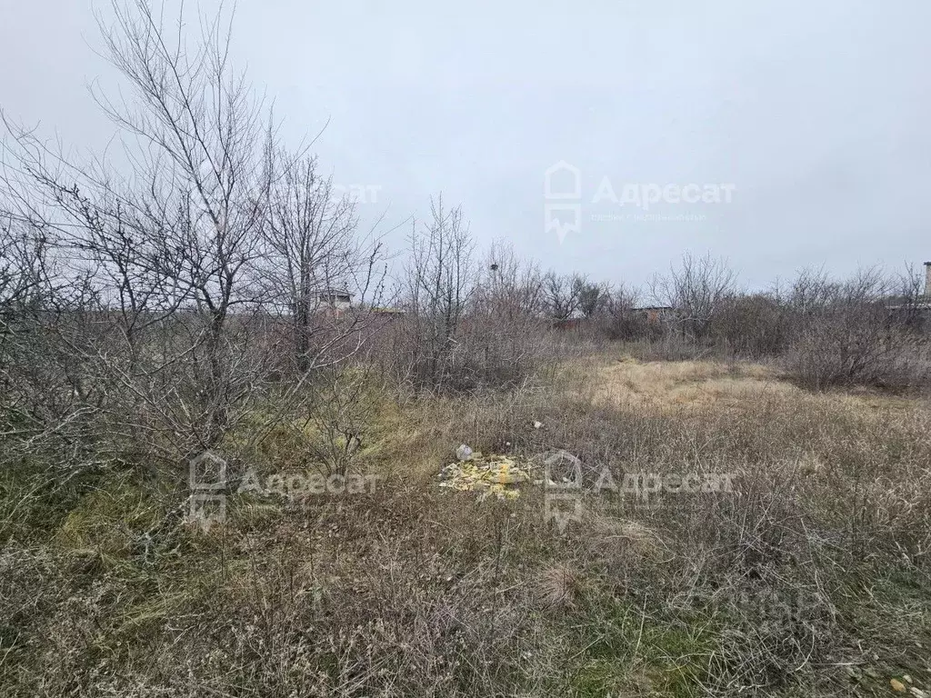 Участок в Волгоградская область, Городищенский район, Ерзовское ... - Фото 2