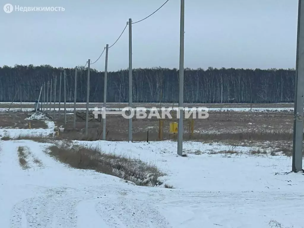 Участок в Новосибирская область, рабочий посёлок Коченёво (10 м), Купить  земельный участок Коченево, Коченевский район, ID объекта - 20007060739