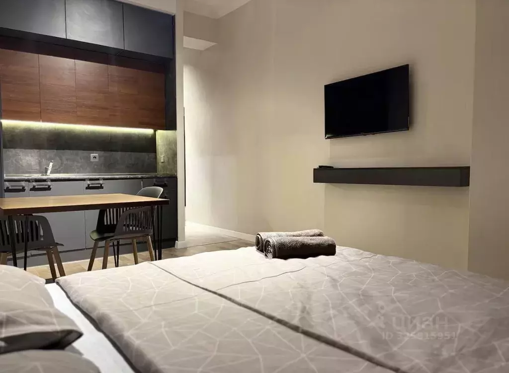 Студия Краснодарский край, Сочи ул. Полтавская, 21Ак1 (20.0 м) - Фото 2